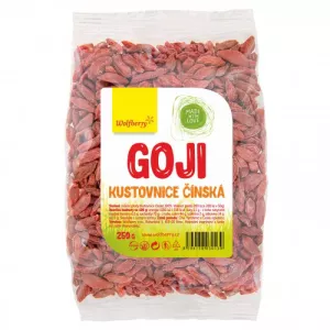 Jagody Goji - Wolfberry