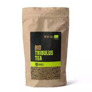 BIO Herbata z buzdyganka - VanaVita